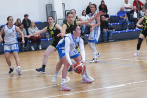 ZTE NKK-Zsíros Akadémia 71-54